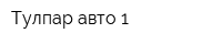 Тулпар-авто-1