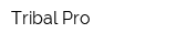 Tribal Pro