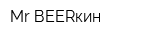 Mr ВEERкин