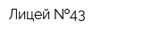 Лицей  43