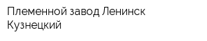 Племенной завод Ленинск-Кузнецкий