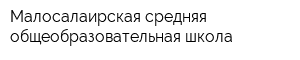 Малосалаирская средняя общеобразовательная школа