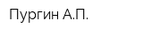 Пургин АП
