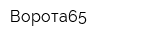 Ворота65