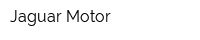 Jaguar-Motor