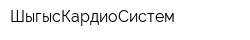 ШыгысКардиоСистем