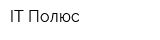 IT Полюс