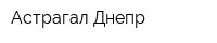 Астрагал-Днепр