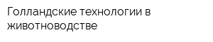 Голландские технологии в животноводстве