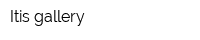 Itis gallery