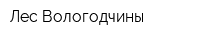 Лес Вологодчины