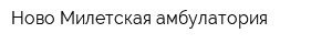 Ново-Милетская амбулатория