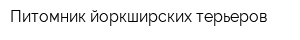 Питомник йоркширских терьеров