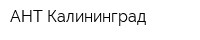 АНТ-Калининград