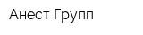 Анест Групп