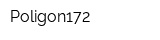 Poligon172