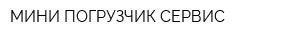 МИНИ ПОГРУЗЧИК СЕРВИС