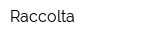 Raccolta
