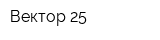 Вектор 25
