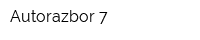 Autorazbor 7
