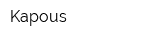 Kapous