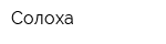 Солоха