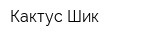 Кактус-Шик