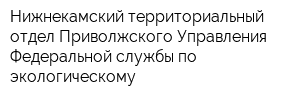 Нижнекамский территориальный отдел Приволжского Управления Федеральной службы по экологическому