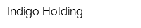 Indigo Holding