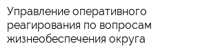 Управление оперативного реагирования по вопросам жизнеобеспечения округа