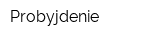 Probyjdenie