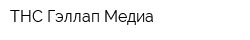 ТНС Гэллап Медиа
