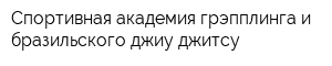 Спортивная академия грэпплинга и бразильского джиу-джитсу