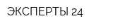 ЭКСПЕРТЫ-24