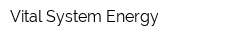 Vital System Energy