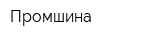 Промшина