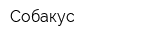 Собакус