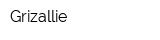 Grizallie