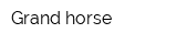 Grand horse