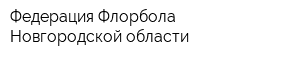 Федерация Флорбола Новгородской области