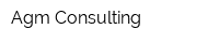 Agm-Consulting