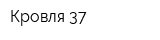Кровля 37