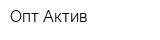 Опт Актив