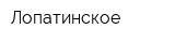 Лопатинское