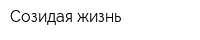 Созидая жизнь