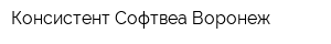 Консистент Софтвеа Воронеж