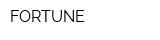 FORTUNE