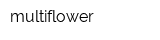 multiflower