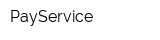PayService