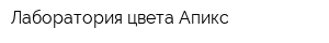 Лаборатория цвета Апикс